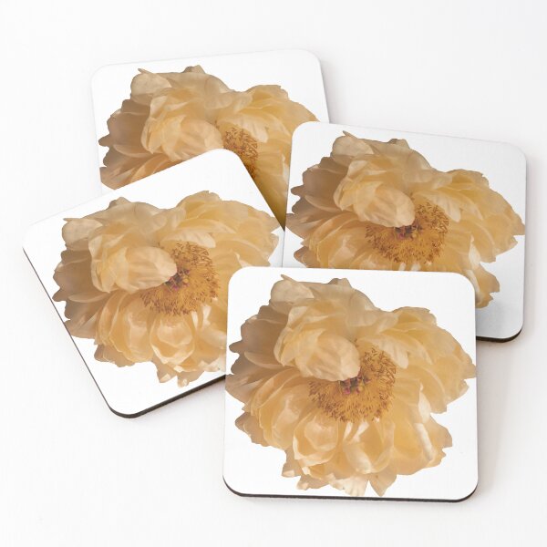 Item preview, Peony Faded Charm designed and sold by Peonysunday.