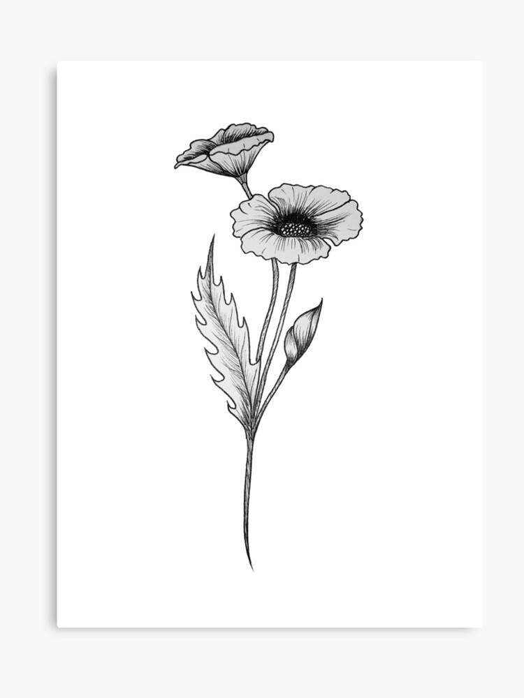 Fleur De Coquelicot Dessin Travail Ligne Dillustration Impression Sur Toile