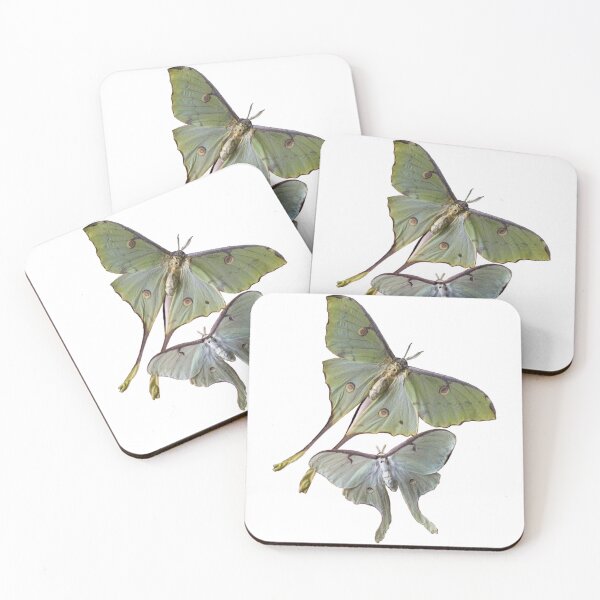 Item preview, aesthetic butterflies designed and sold by stickermonstery.