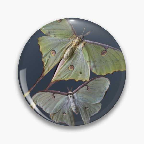 Item preview, aesthetic butterflies designed and sold by stickermonstery.