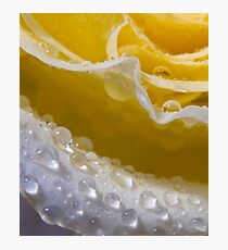 petal edge Fotodruck