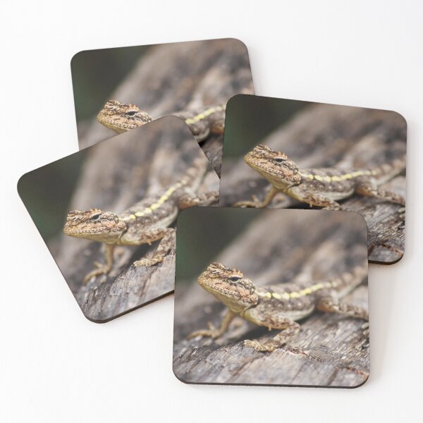 Item preview, Lizard on the rock designed and sold by Life&Travel.