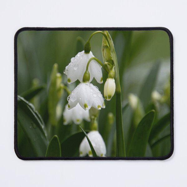 Item preview, Snow Drops designed and sold by MorningStarImg.