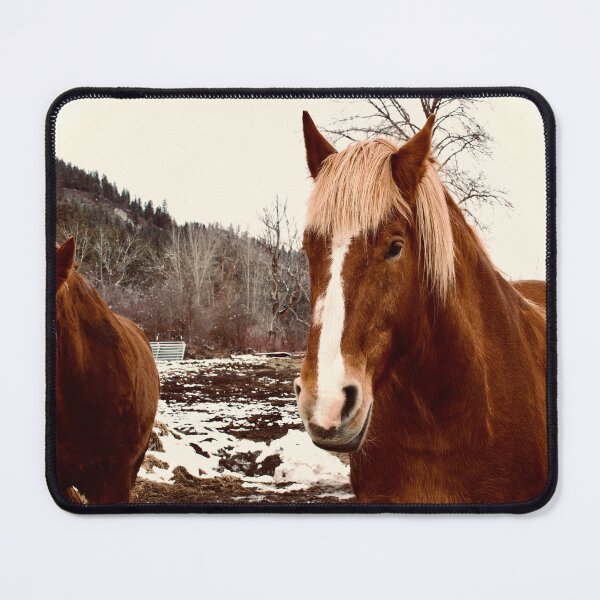Item preview, Great Belgian Draft Horses designed and sold by MomentsinTime22.
