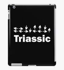 Dinotopia Inspired Triassic Text iPad Case/Skin