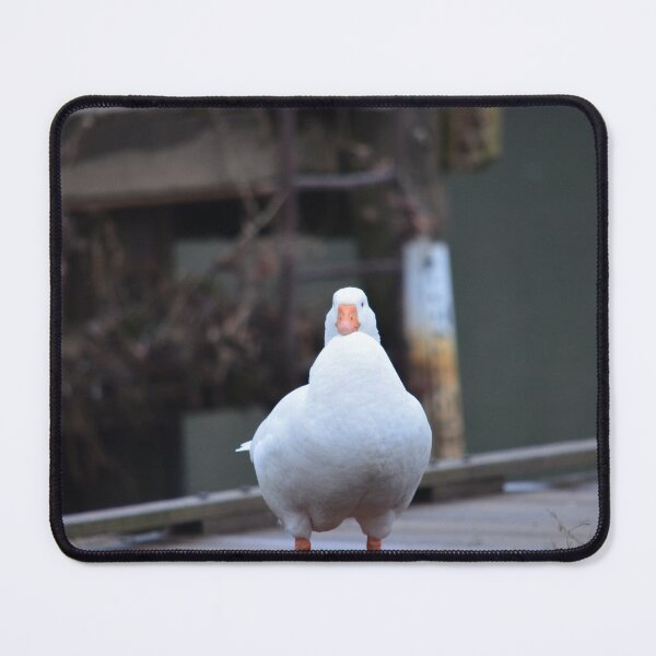 Item preview, Gary Squeeze designed and sold by LarsPhotography.