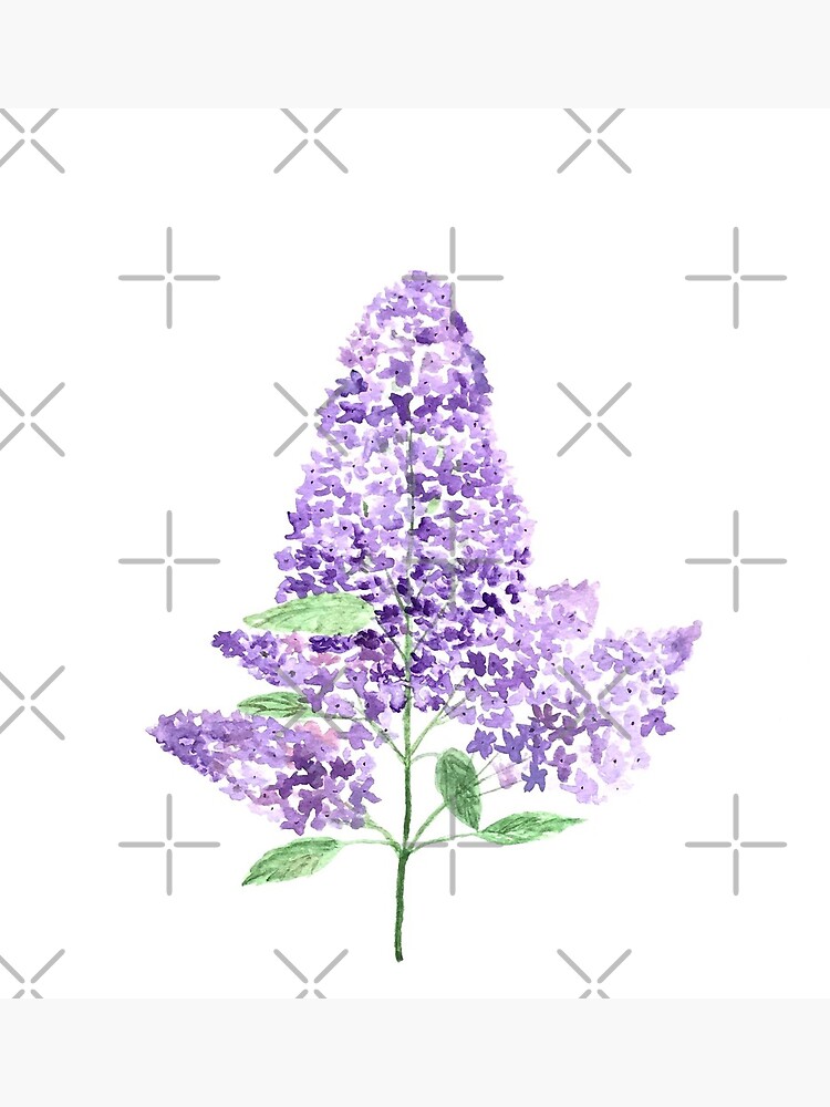 Tarjetas de felicitación «Acuarela de flores lilas violetas» de cameronka1  | Redbubble