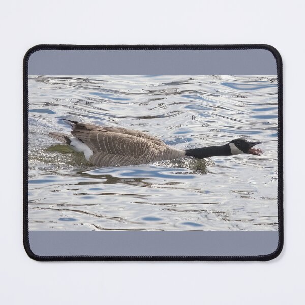 Item preview, Canada Goose Feeling Threatened designed and sold by CarolM.
