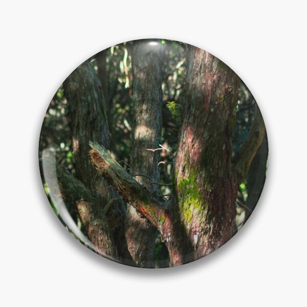 Item preview, Trees in Dark Forest Dappled Light designed and sold by ACHprints.