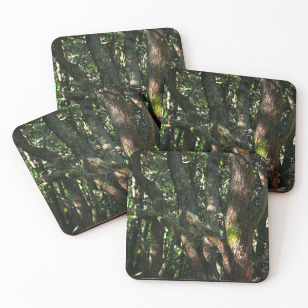 Item preview, Trees in Dark Forest Dappled Light designed and sold by ACHprints.