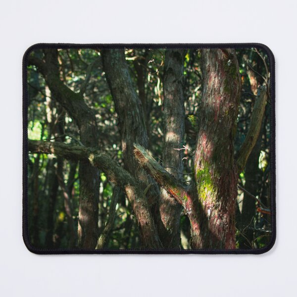 Item preview, Trees in Dark Forest Dappled Light designed and sold by ACHprints.