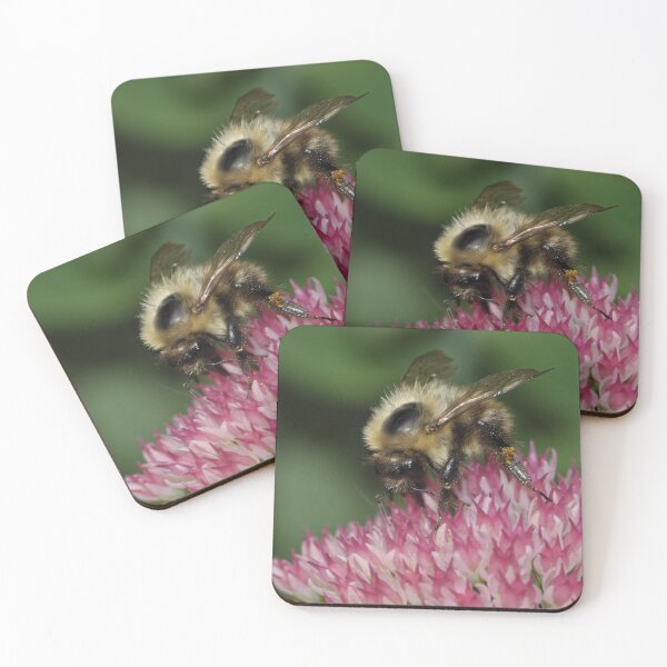 Item preview, Bee Feeding on Sedum designed and sold by Chris Monks.