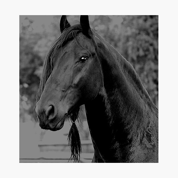 Item preview, Apache designed and sold by laureenr.