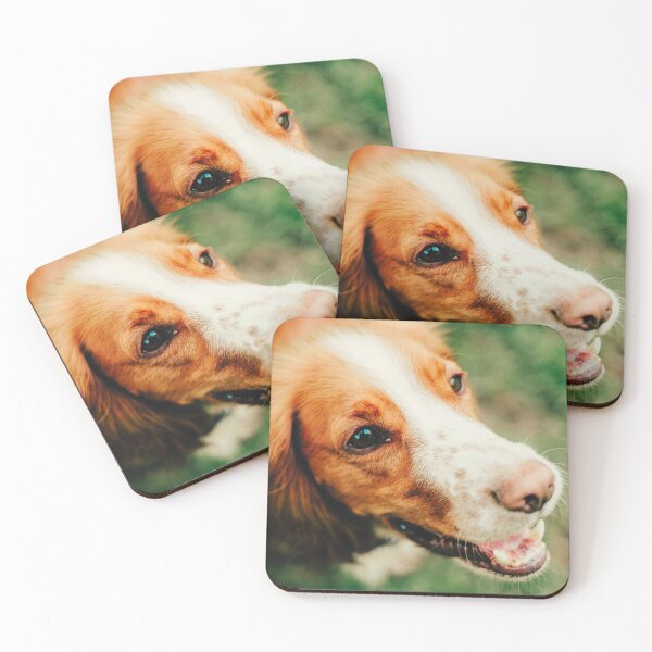Item preview, Brittany Spaniel Dog Photo designed and sold by TheAnimalZ00.