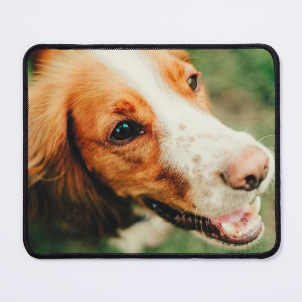Item preview, Brittany Spaniel Dog Photo designed and sold by TheAnimalZ00.