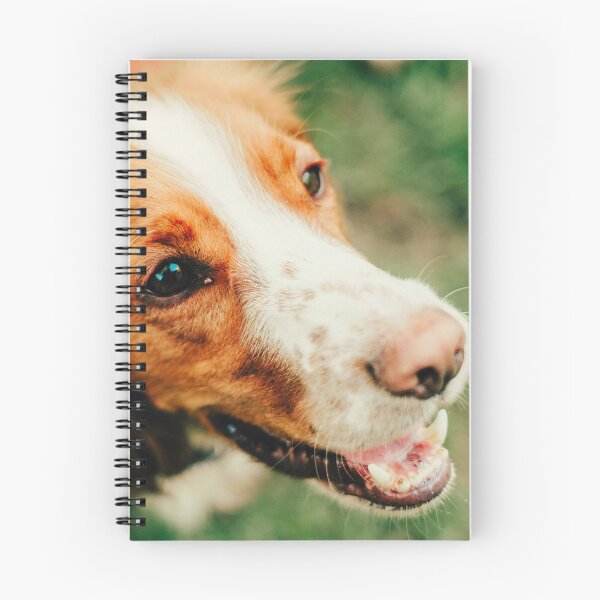 Item preview, Brittany Spaniel Dog Photo designed and sold by TheAnimalZ00.