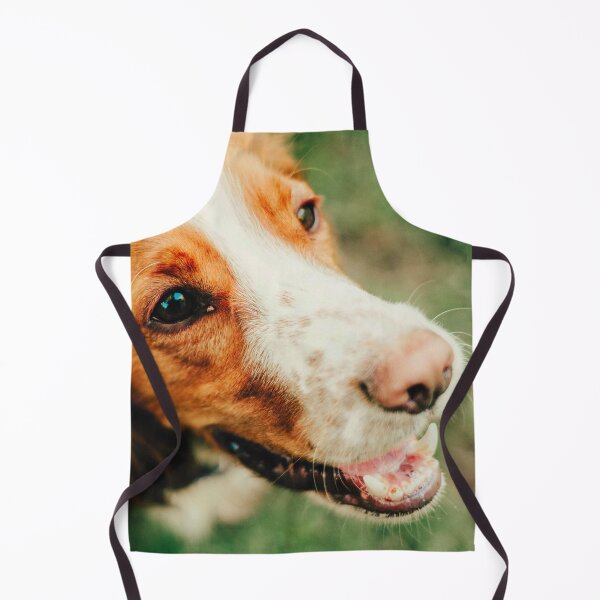 Item preview, Brittany Spaniel Dog Photo designed and sold by TheAnimalZ00.