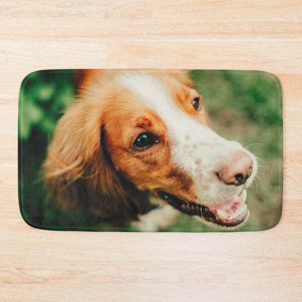 Item preview, Brittany Spaniel Dog Photo designed and sold by TheAnimalZ00.