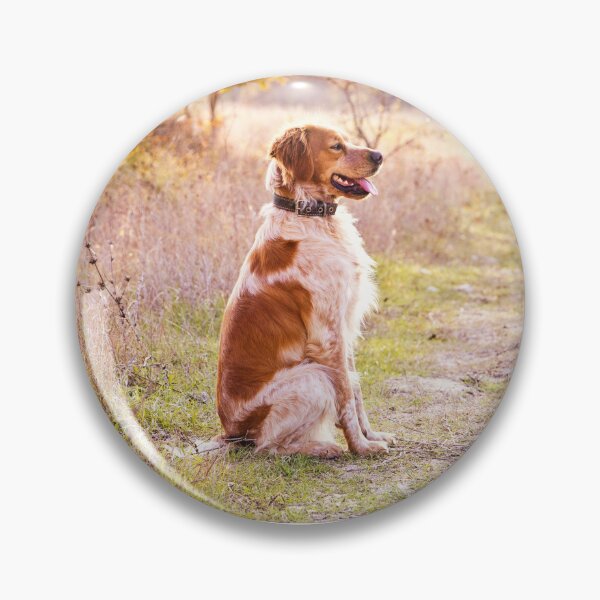 Item preview, Brittany Spaniel Photo designed and sold by TheAnimalZ00.