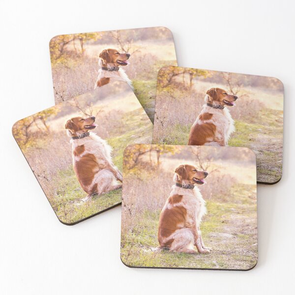 Item preview, Brittany Spaniel Photo designed and sold by TheAnimalZ00.