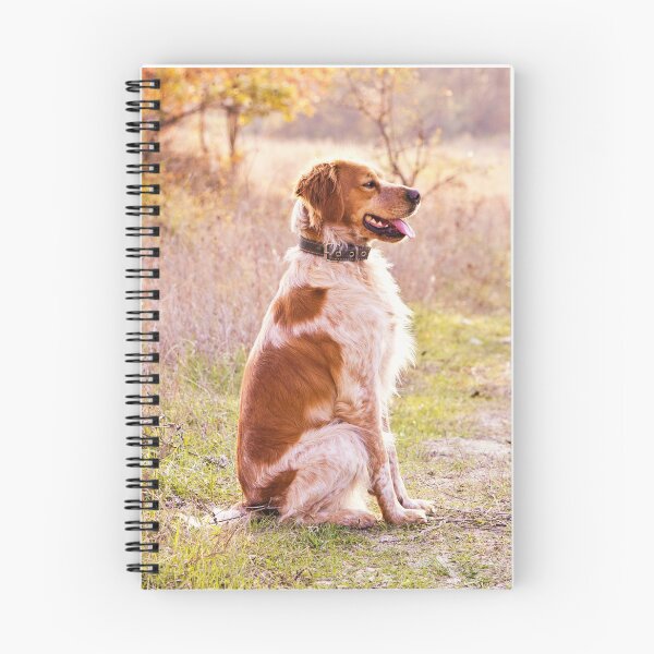 Item preview, Brittany Spaniel Photo designed and sold by TheAnimalZ00.