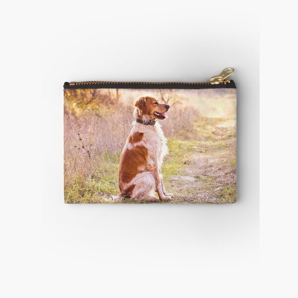 Artikelvorschau, Brittany Spaniel Foto entworfen und verkauft von TheAnimalZ00.
