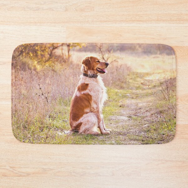 Item preview, Brittany Spaniel Photo designed and sold by TheAnimalZ00.