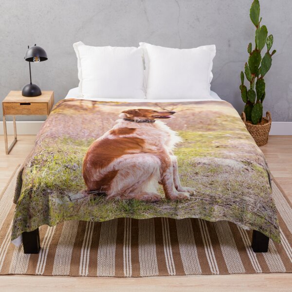 Item preview, Brittany Spaniel Photo designed and sold by TheAnimalZ00.