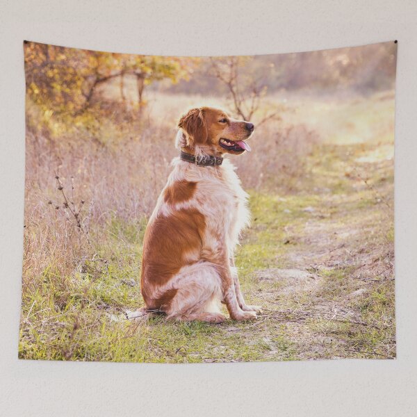Item preview, Brittany Spaniel Photo designed and sold by TheAnimalZ00.