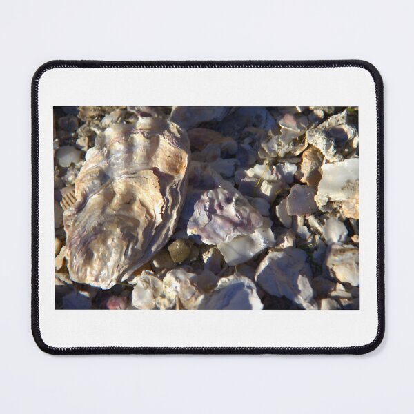 Item preview, Oyster Shell Montage designed and sold by vernonplatt.