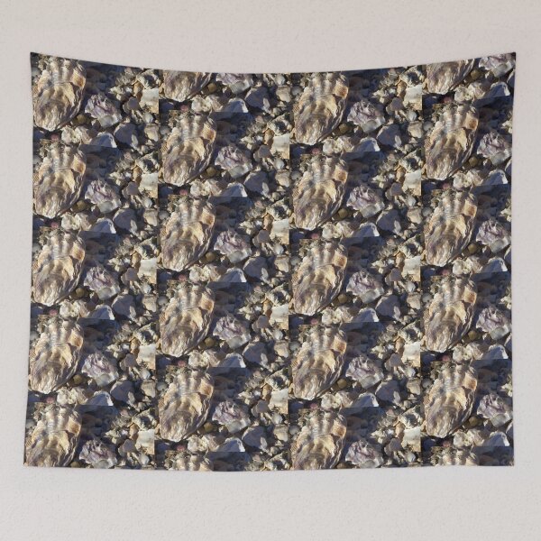 Item preview, Oyster Shell Montage designed and sold by vernonplatt.