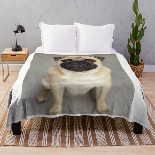 Item preview, Calm Cute Pug Dog designed and sold by VanGaldo.