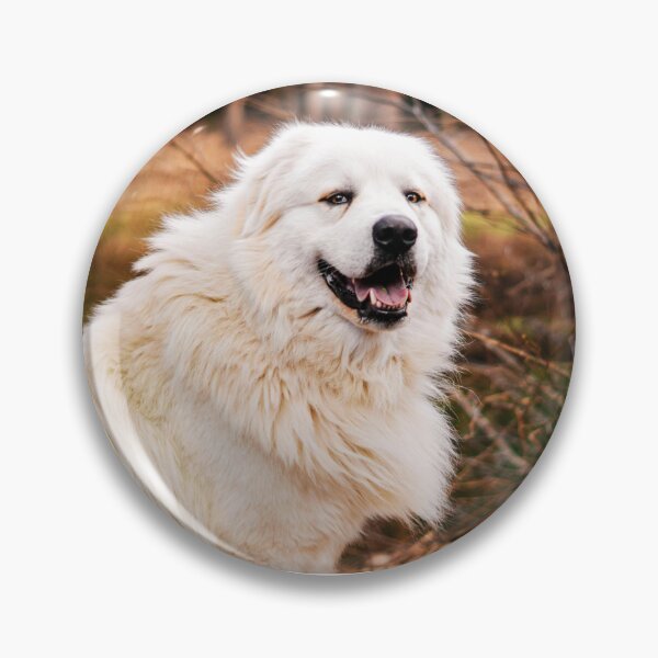 Item preview, Great Pyrenees Photo designed and sold by TheAnimalZ00.