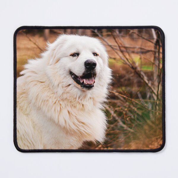 Item preview, Great Pyrenees Photo designed and sold by TheAnimalZ00.