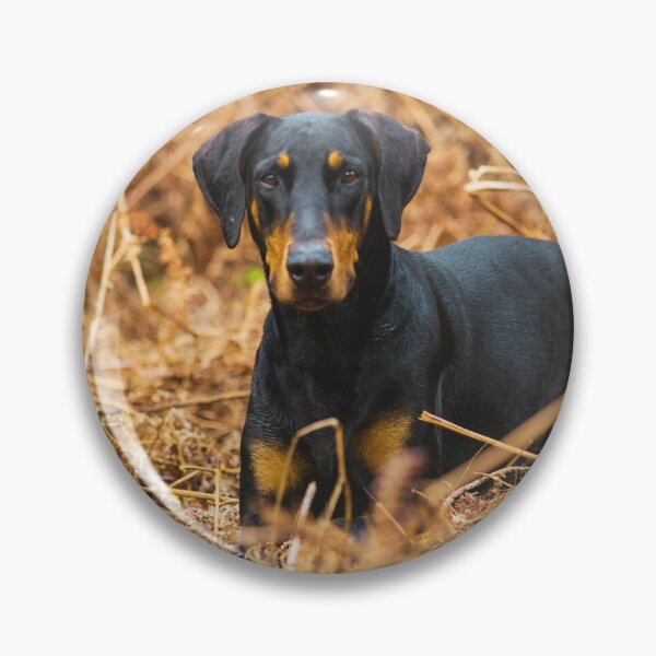 Item preview, Doberman Pinscher Puppy Photo designed and sold by TheAnimalZ00.