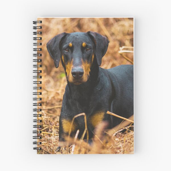 Item preview, Doberman Pinscher Puppy Photo designed and sold by TheAnimalZ00.