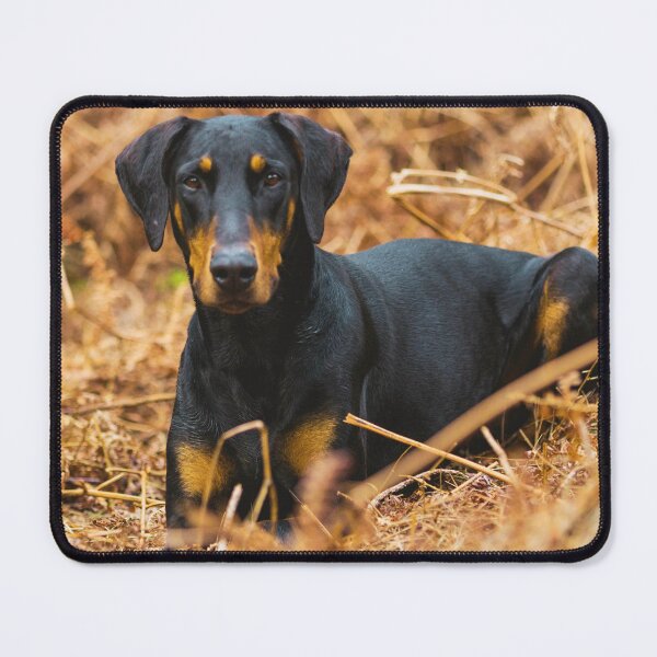 Item preview, Doberman Pinscher Puppy Photo designed and sold by TheAnimalZ00.