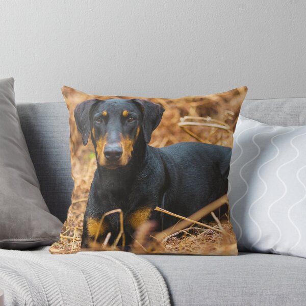 Item preview, Doberman Pinscher Puppy Photo designed and sold by TheAnimalZ00.