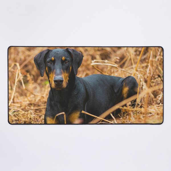 Item preview, Doberman Pinscher Puppy Photo designed and sold by TheAnimalZ00.