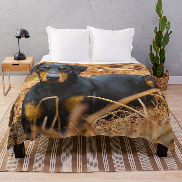 Item preview, Doberman Pinscher Puppy Photo designed and sold by TheAnimalZ00.