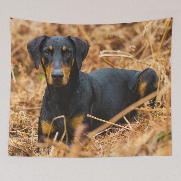 Item preview, Doberman Pinscher Puppy Photo designed and sold by TheAnimalZ00.