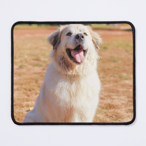 Item preview, Great Pyrenees Picture designed and sold by TheAnimalZ00.