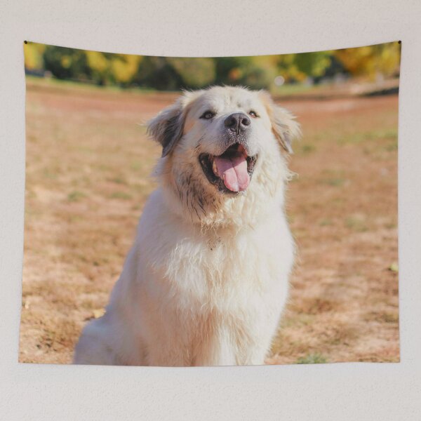 Item preview, Great Pyrenees Picture designed and sold by TheAnimalZ00.
