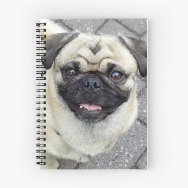 Item preview, Waiting Pug Dog designed and sold by VanGaldo.