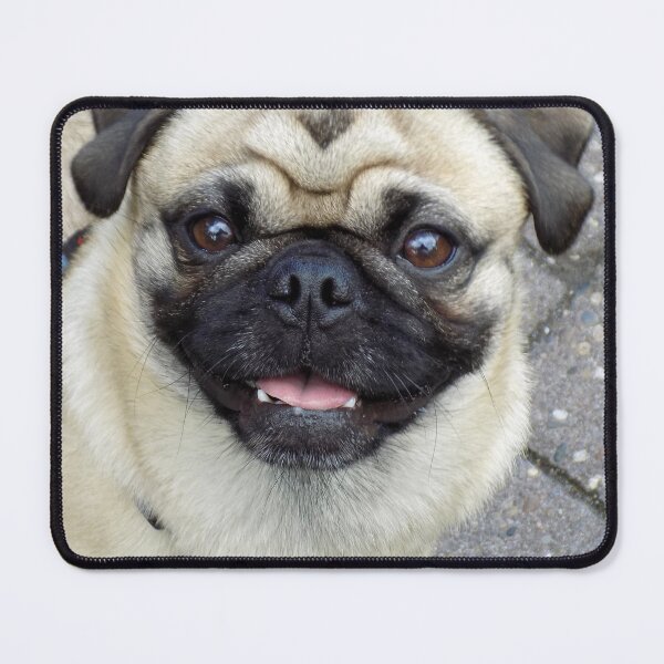 Item preview, Waiting Pug Dog designed and sold by VanGaldo.