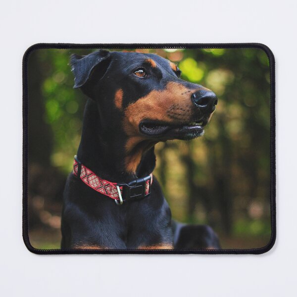 Item preview, Doberman Pinscher Picture designed and sold by TheAnimalZ00.