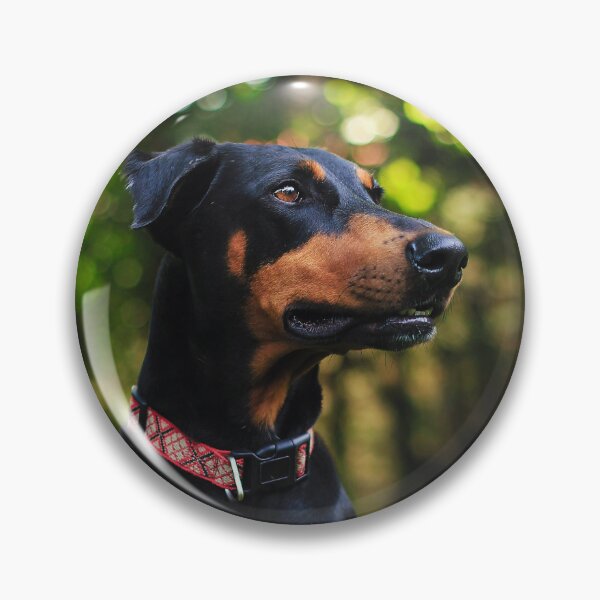 Artikelvorschau, Dobermann-Pinscher-Bild entworfen und verkauft von TheAnimalZ00.