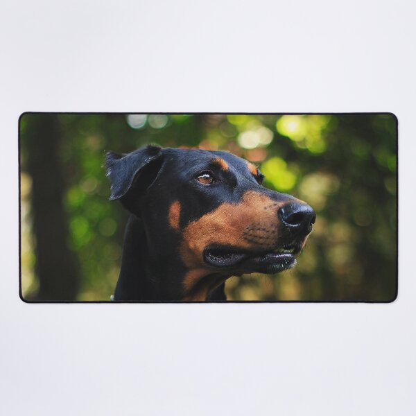 Item preview, Doberman Pinscher Picture designed and sold by TheAnimalZ00.