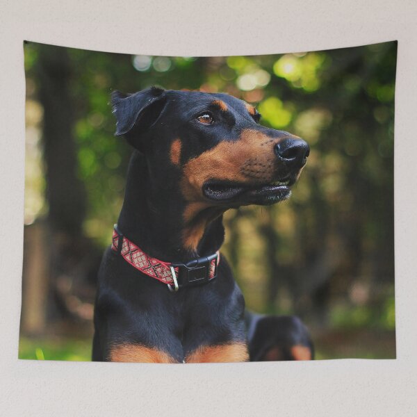Item preview, Doberman Pinscher Picture designed and sold by TheAnimalZ00.