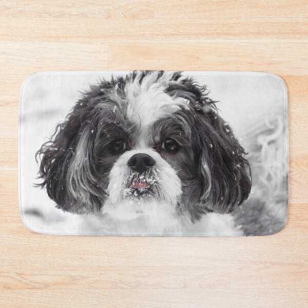 Item preview, Black And White Shih Tzu Photo designed and sold by TheAnimalZ00.